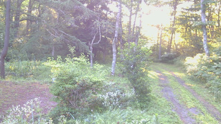 長野県菅平高原 ゆたか山荘 坂上 2026/08/05 05:45