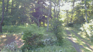 長野県菅平高原 ゆたか山荘 坂上 2026/08/05 06:45