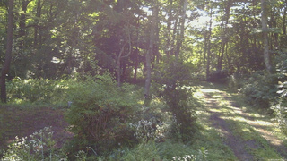 長野県菅平高原 ゆたか山荘 坂上 2026/08/05 07:45