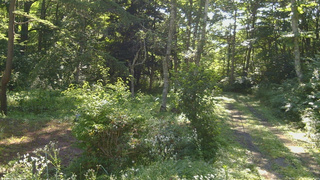 長野県菅平高原 ゆたか山荘 坂上 2026/08/05 08:15