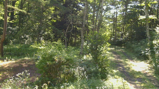 長野県菅平高原 ゆたか山荘 坂上 2026/08/05 08:30