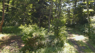 長野県菅平高原 ゆたか山荘 坂上 2026/08/05 08:45