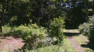長野県菅平高原 ゆたか山荘 坂上 2026/08/05 10:45