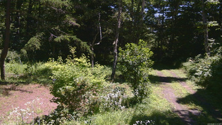 長野県菅平高原 ゆたか山荘 坂上 2026/08/05 11:15