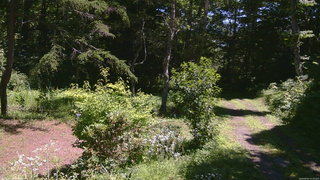 長野県菅平高原 ゆたか山荘 坂上 2026/08/05 11:30