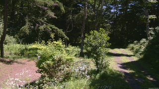 長野県菅平高原 ゆたか山荘 坂上 2026/08/05 11:45