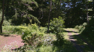 長野県菅平高原 ゆたか山荘 坂上 2026/08/05 12:00
