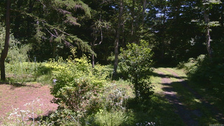 長野県菅平高原 ゆたか山荘 坂上 2026/08/05 12:15