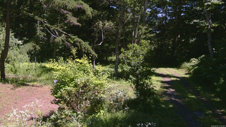 長野県菅平高原 ゆたか山荘 坂上 2026/08/05 12:30