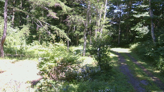 長野県菅平高原 ゆたか山荘 坂上 2026/08/05 13:30