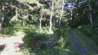 長野県菅平高原 ゆたか山荘 坂上 2026/08/05 15:30