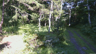 長野県菅平高原 ゆたか山荘 坂上 2026/08/05 15:45