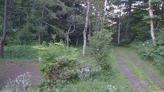 長野県菅平高原 ゆたか山荘 坂上 2026/08/05 18:15
