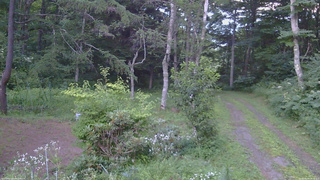 長野県菅平高原 ゆたか山荘 坂上 2026/08/05 18:45