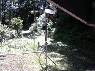 長野県菅平高原 ゆたか山荘 南側 2026/08/06 09:45