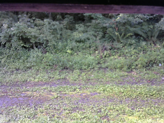 長野県菅平高原 ゆたか山荘 東側(坂下) 2026/08/06 06:30