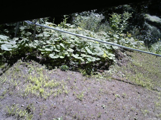 長野県菅平高原 ゆたか山荘 駐車場 2026/08/06 08:45