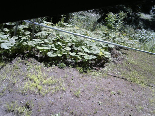長野県菅平高原 ゆたか山荘 駐車場 2026/08/06 09:00