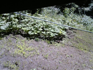 長野県菅平高原 ゆたか山荘 駐車場 2026/08/06 09:15