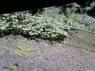 長野県菅平高原 ゆたか山荘 駐車場 2026/08/06 09:30