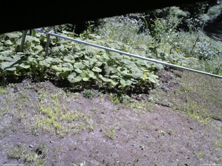 長野県菅平高原 ゆたか山荘 駐車場 2026/08/06 09:45