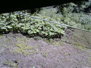 長野県菅平高原 ゆたか山荘 駐車場 2026/08/06 10:00