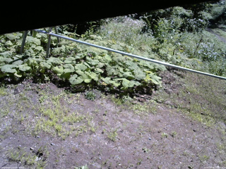長野県菅平高原 ゆたか山荘 駐車場 2026/08/06 10:15