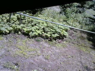 長野県菅平高原 ゆたか山荘 駐車場 2026/08/06 11:00