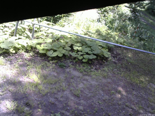長野県菅平高原 ゆたか山荘 駐車場 2026/08/06 12:30