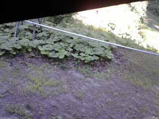 長野県菅平高原 ゆたか山荘 駐車場 2026/08/06 16:45