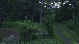 長野県菅平高原 ゆたか山荘 坂上 2026/08/06 05:00