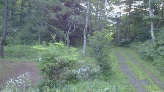 長野県菅平高原 ゆたか山荘 坂上 2026/08/06 05:15