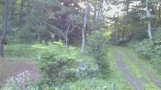 長野県菅平高原 ゆたか山荘 坂上 2026/08/06 05:30