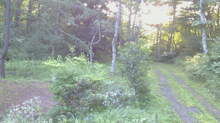 長野県菅平高原 ゆたか山荘 坂上 2026/08/06 05:45