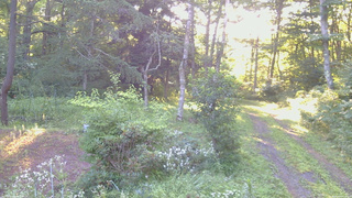 長野県菅平高原 ゆたか山荘 坂上 2026/08/06 06:00