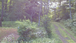 長野県菅平高原 ゆたか山荘 坂上 2026/08/06 06:45
