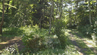 長野県菅平高原 ゆたか山荘 坂上 2026/08/06 08:15