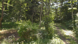 長野県菅平高原 ゆたか山荘 坂上 2026/08/06 08:30