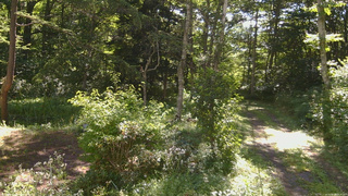 長野県菅平高原 ゆたか山荘 坂上 2026/08/06 08:45
