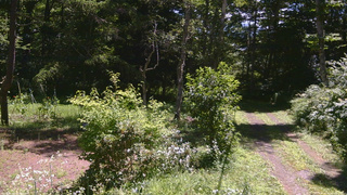長野県菅平高原 ゆたか山荘 坂上 2026/08/06 10:30