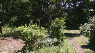長野県菅平高原 ゆたか山荘 坂上 2026/08/06 10:45