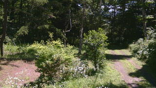 長野県菅平高原 ゆたか山荘 坂上 2026/08/06 11:00