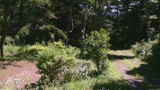 長野県菅平高原 ゆたか山荘 坂上 2026/08/06 11:15