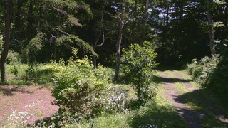 長野県菅平高原 ゆたか山荘 坂上 2026/08/06 11:30