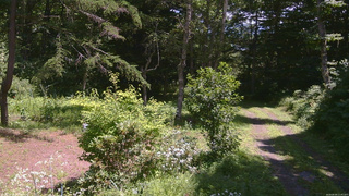 長野県菅平高原 ゆたか山荘 坂上 2026/08/06 11:45