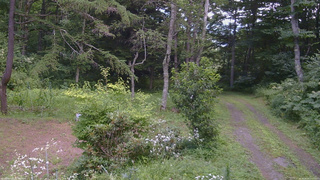 長野県菅平高原 ゆたか山荘 坂上 2026/08/06 12:00