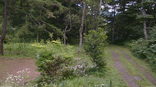 長野県菅平高原 ゆたか山荘 坂上 2026/08/06 12:15