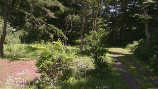 長野県菅平高原 ゆたか山荘 坂上 2026/08/06 12:30