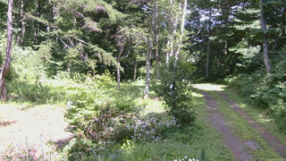 長野県菅平高原 ゆたか山荘 坂上 2026/08/06 13:45