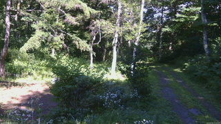 長野県菅平高原 ゆたか山荘 坂上 2026/08/06 15:00